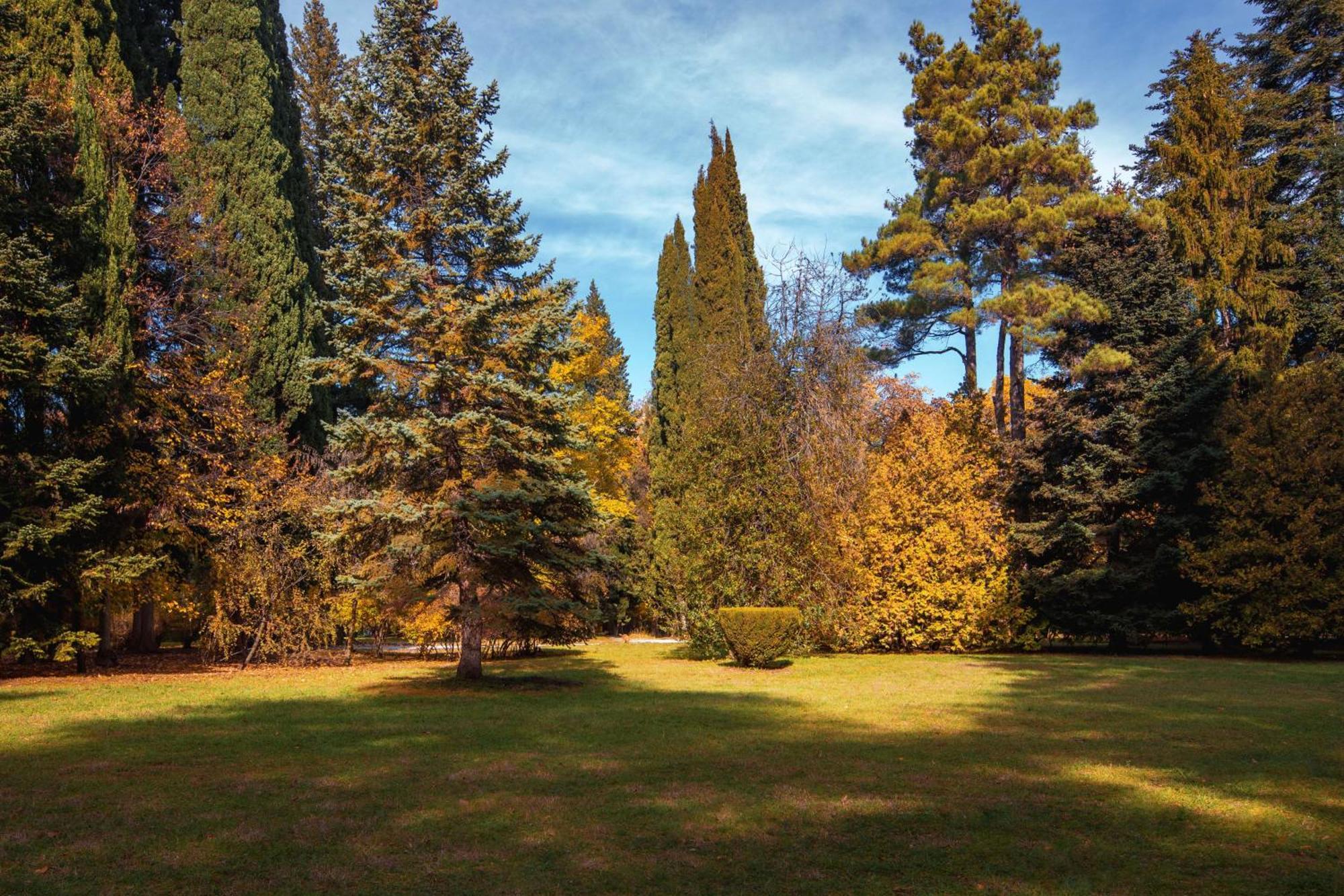 Hotel Estate, A Radisson Collection